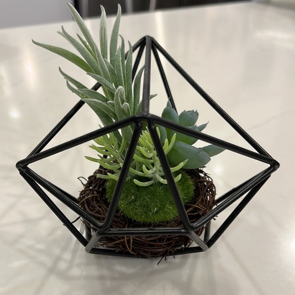 Decorative Faux Succulent in a Nest - Picture 4 of 4